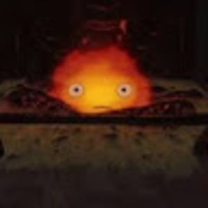 Meet your Posher, Lexi